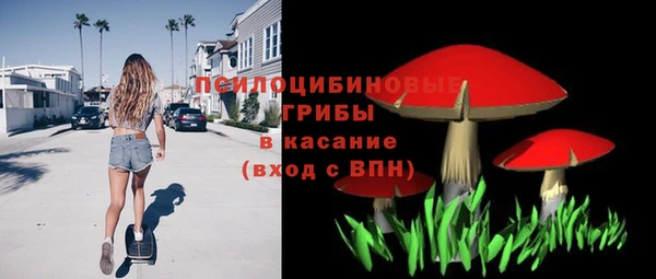 стаф Алексин