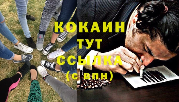 стаф Алексин